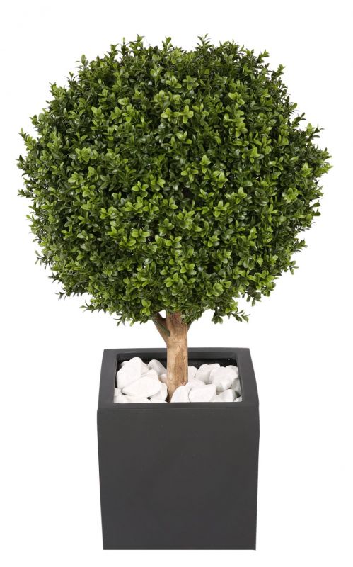 Kyoto Boxwood (Boxwood) Artificial Plant Tanaman   